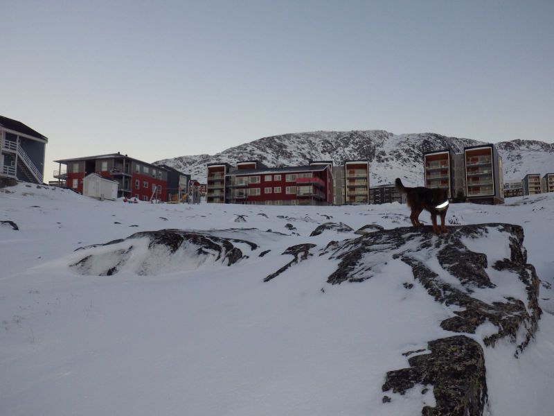 2013-12-04-1028_-_djanco_gode_1_pupik