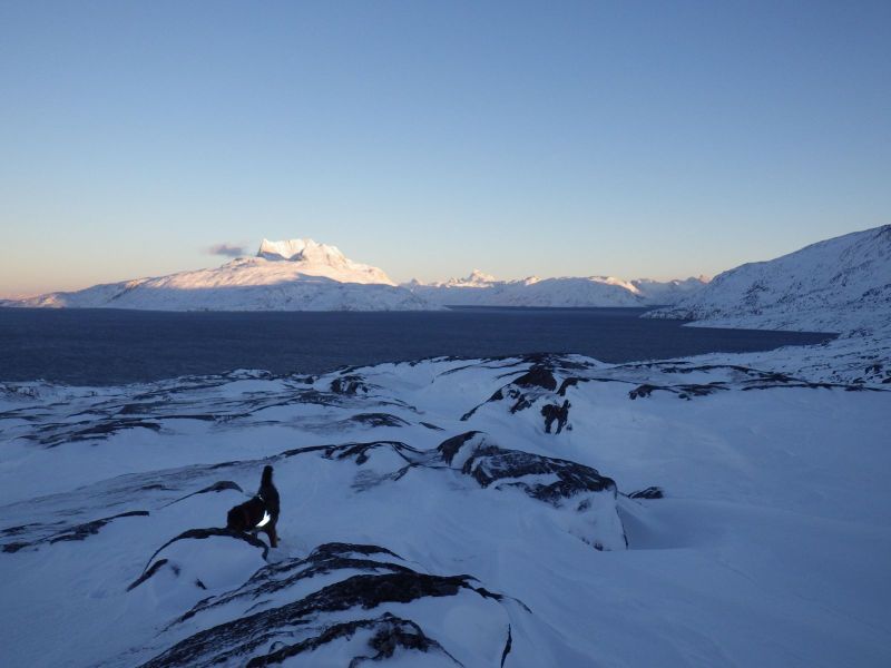 2013-12-10-1200_-_djanco_gode_1_sermitsiaq
