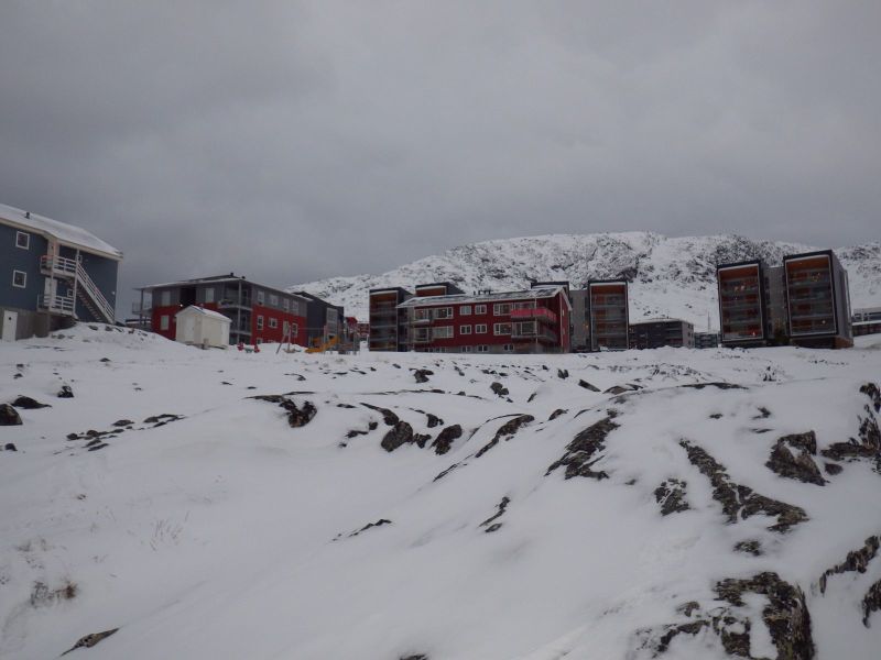 2013-12-27-1416_-_pupik