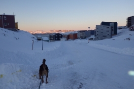 2013-12-04-1036_-_djanco_gode_1