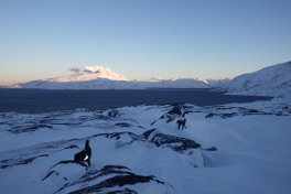 2013-12-10-1200_-_djanco_gode_1_sermitsiaq