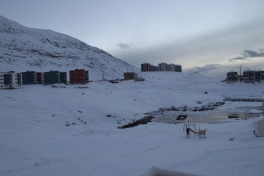 2013-12-16-1532_-_udsigt_fra_altan