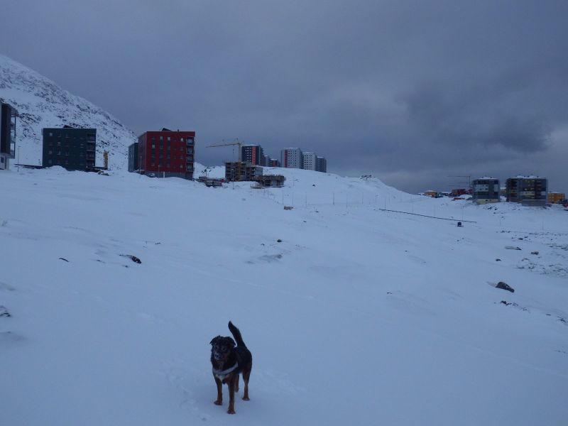 2014-01-26-1109_-_Djanco_Gode_1