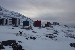 2014-01-02-1158_-_Djanco