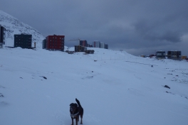 2014-01-26-1109_-_Djanco_Gode_1