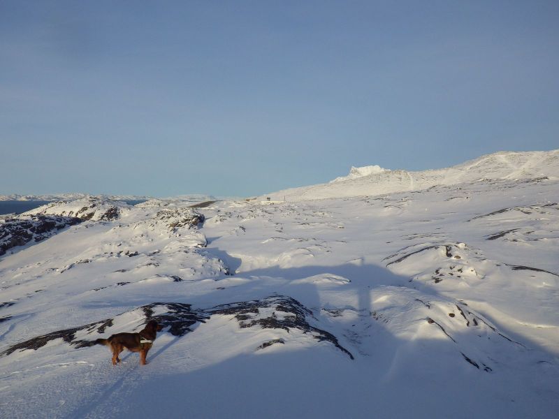 2014-02-10-1505_-_Djanco_Gode_1_Sermitsiaq