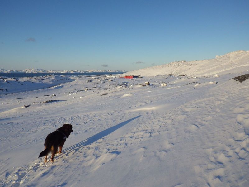 2014-02-15-1531_-_Djanco_Gode_1_Lufthavn_Sermitsiaq_Skilift