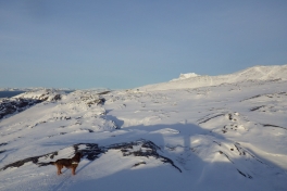 2014-02-10-1505_-_Djanco_Gode_1_Sermitsiaq