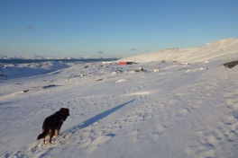 2014-02-15-1531_-_Djanco_Gode_1_Lufthavn_Sermitsiaq_Skilift