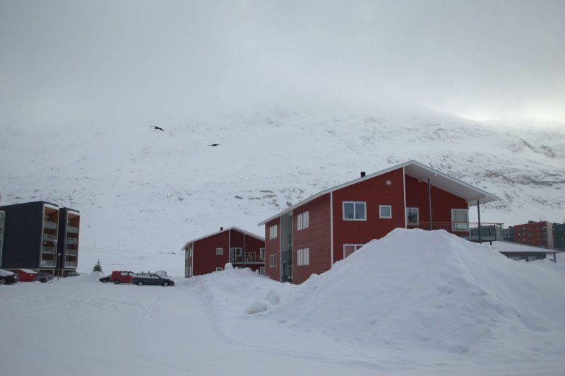 2014-03-07-1345_-_Gode_1_Pupik_Ravn