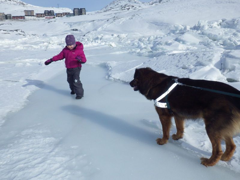 2014-03-23-1415_-_Gode_1_Qupanuk-Eugenius-Labansen