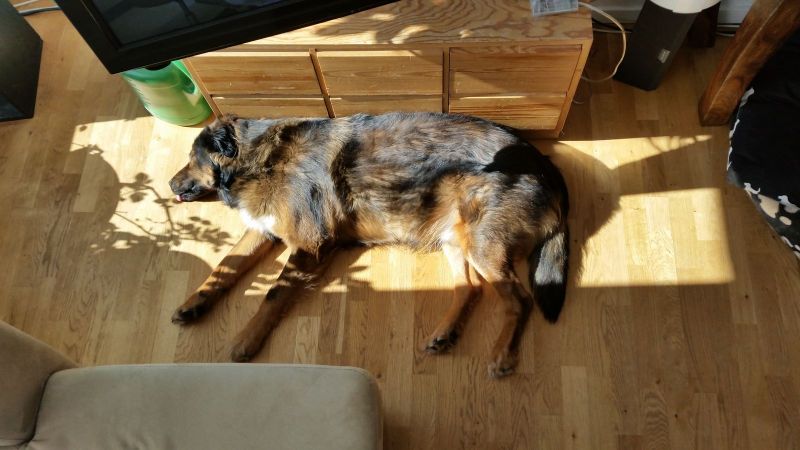 Djanco ligger i 27 grader sol
