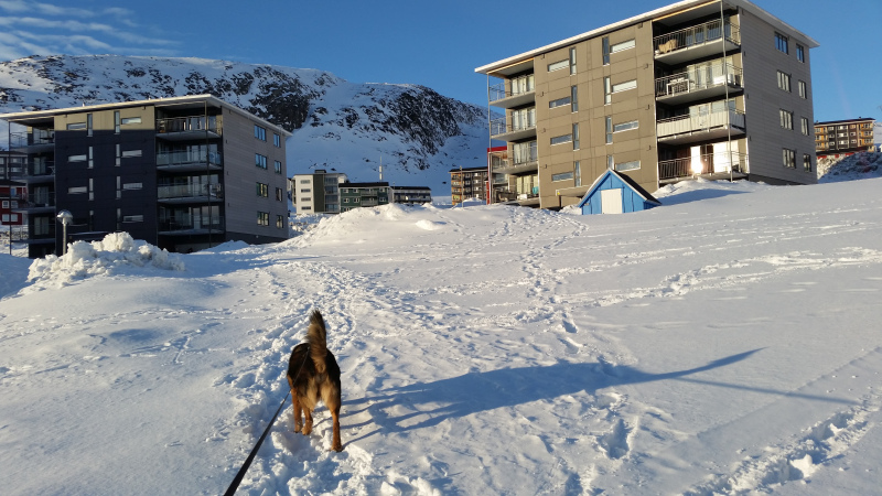 Sne og sol i Qinnqorput