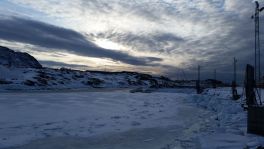 2016-02-03-1141_-_Iggia