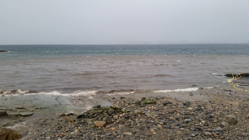 2016-04-11-0745_-_Kolonihavnen_3