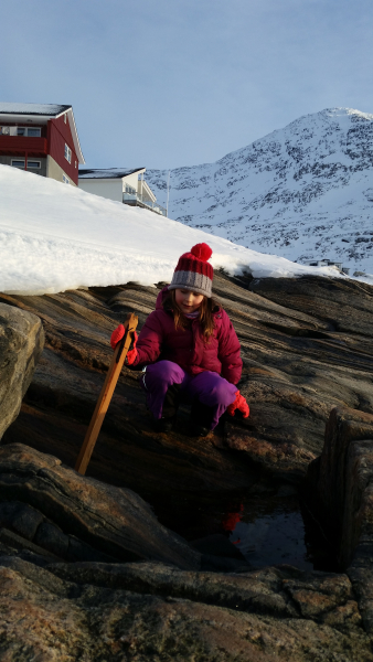 2017-01-31-1434_-_Ukaleq-Eugenius-Labansen