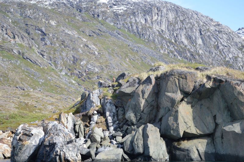 2018-09-01-1303_-_Havørn