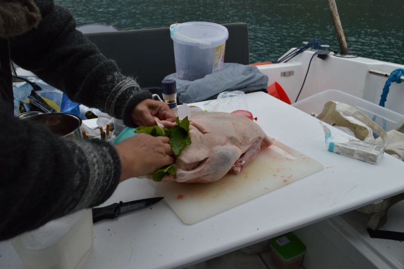 Anden stoppes med kvan og blåbær