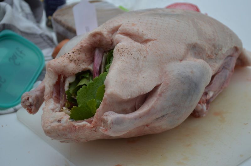 Anden stoppes med kvan og blåbær