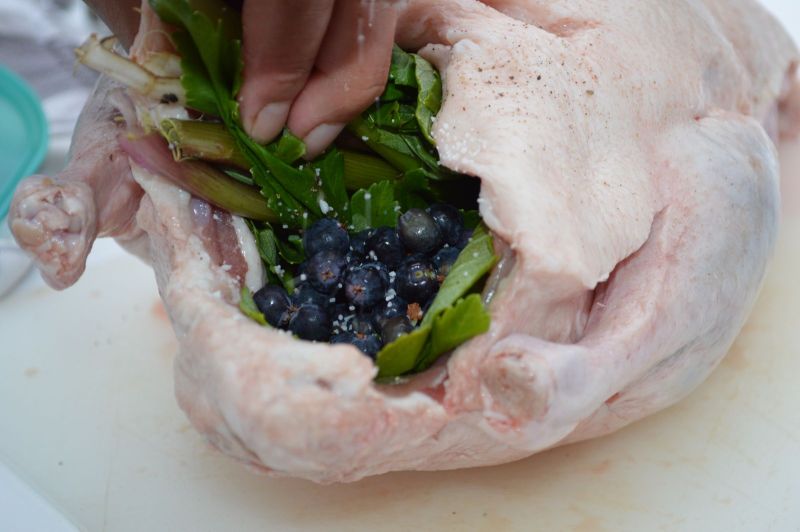 Anden stoppes med kvan og blåbær