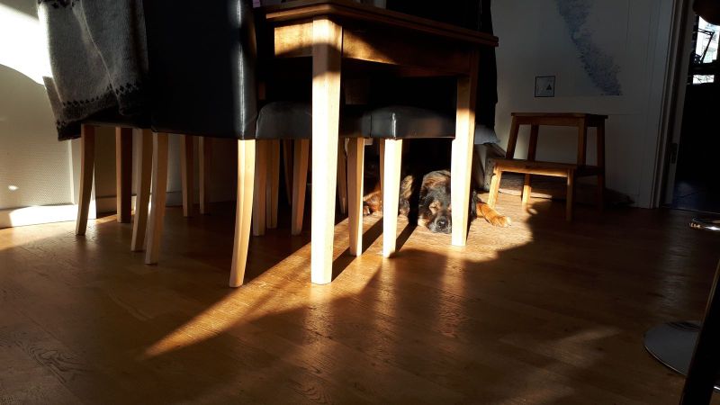 2018-10-21-1316_-_Djanco