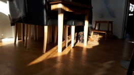 2018-10-21-1316_-_Djanco