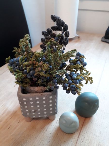 2019-01-06 11.43.57