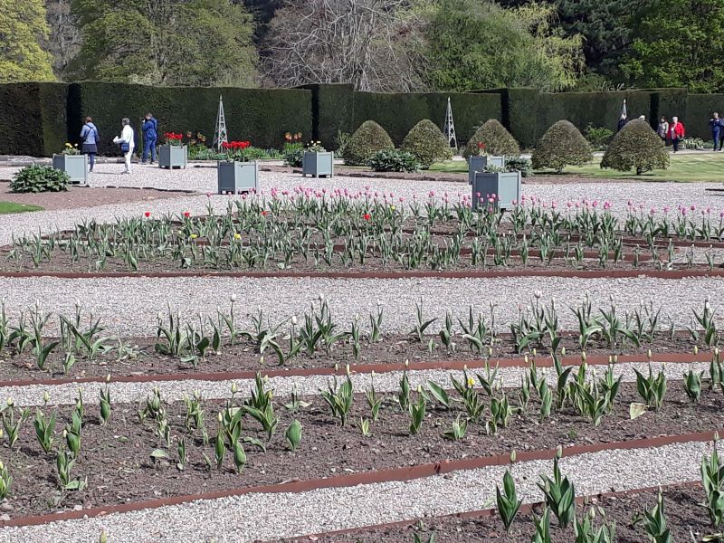 2019-04-23-1128_Besøg-på-Glamis-Castle-Dronningemoderens-barndomsslot_-
