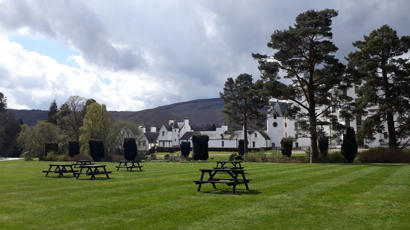 2019-04-25-1130_Meget-høje-grantræer-i-Blair-Castle_-