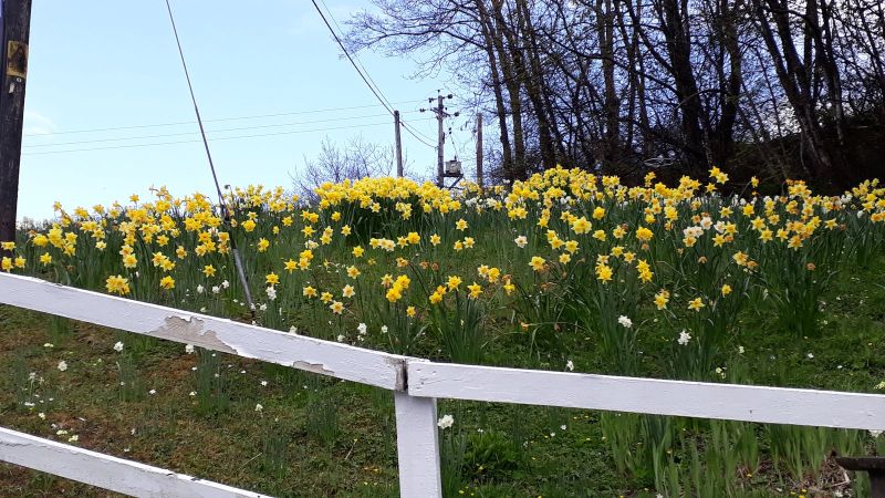 2019-04-25-1428_Besøg-på-Edradour-Destilleri_-