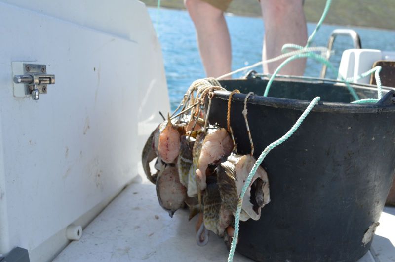 Sejltur til Eqaluit Ilorliit -Snellen gøres klar og sættes