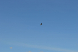 Kristi Himmelfarts ferie til Qussuk