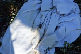 Kristi Himmelfarts ferie til Qussuk