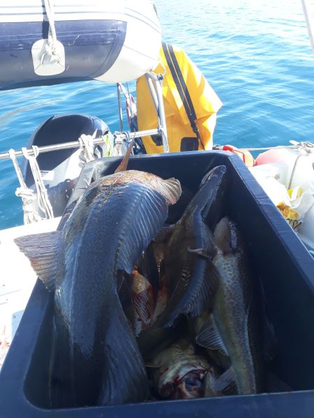 Sejltur til Sulisuutip