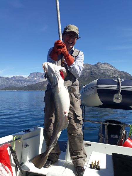 Sejltur til Sulisuutip - 16 kg torsk