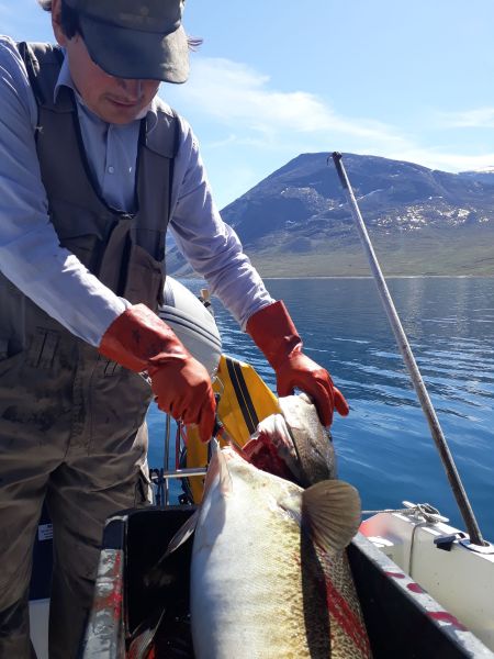 Sejltur til Sulisuutip