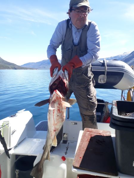 Sejltur til Sulisuutip