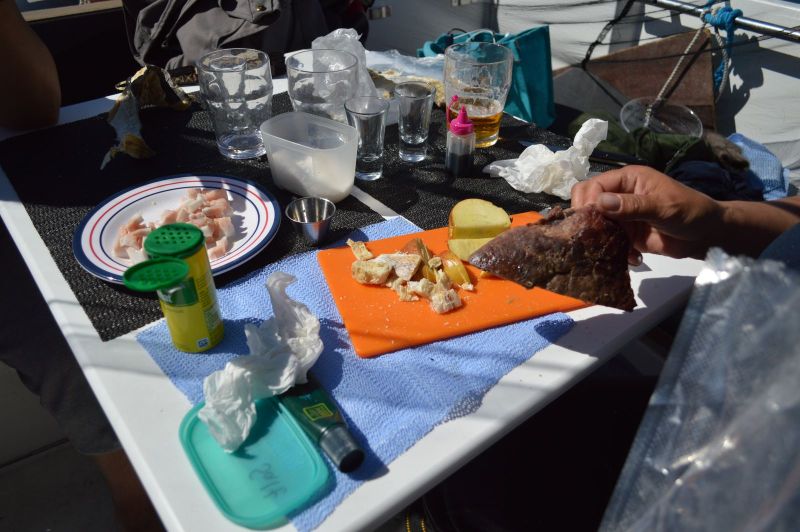 Sejltur til Sulisuutip