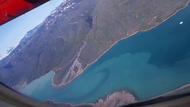 Området omkring skoven ved Narsarsuaq