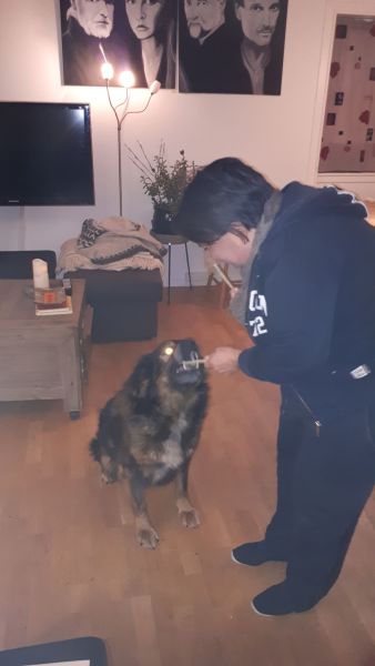2019-11-22-1911_Anna-Hessler-Labansen-Djanco