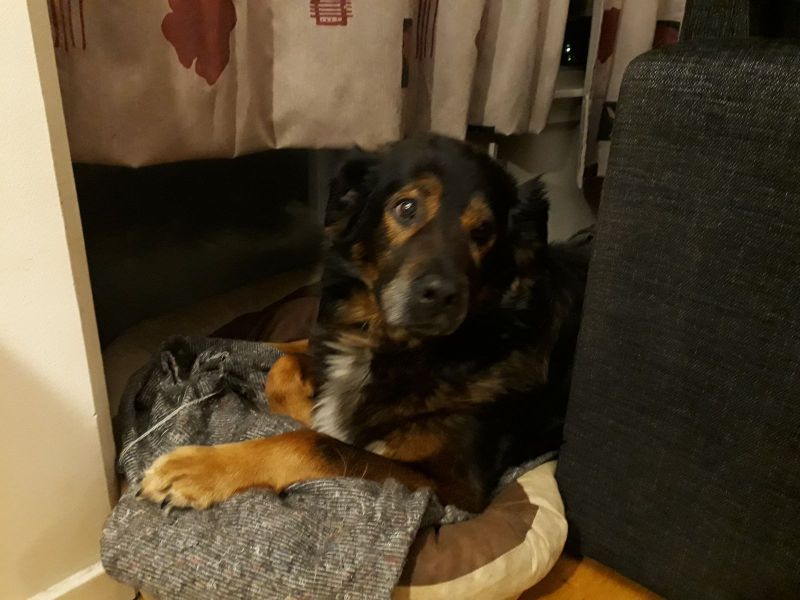 2020-01-21-2013_Djanco