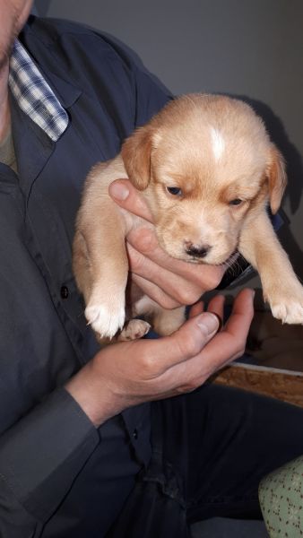 Emily og hendes søskende