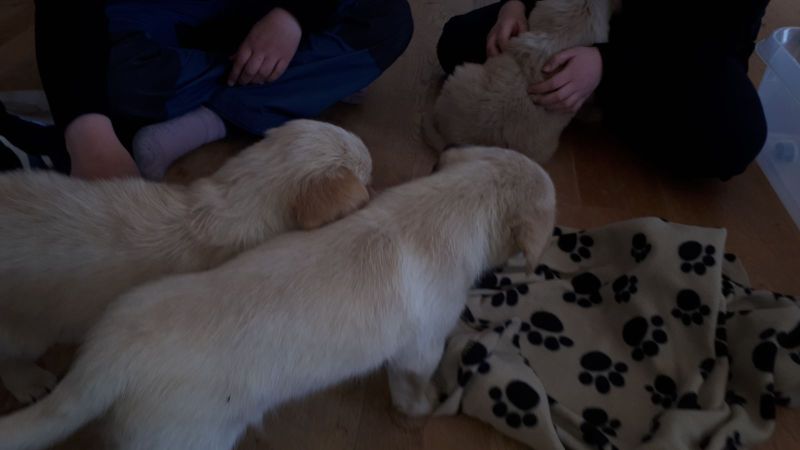 Emily og nogle af hendes søskende på 1. besøg i Pupik