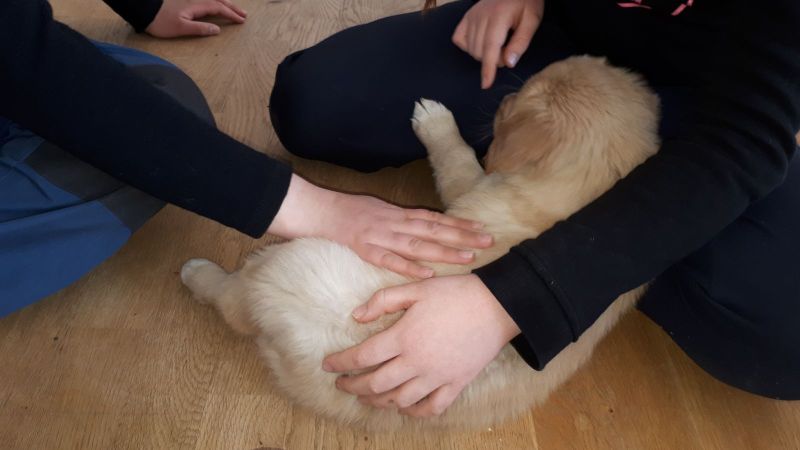 Emily og nogle af hendes søskende på 1. besøg i Pupik