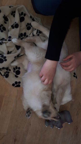 Emily og nogle af hendes søskende på 1. besøg i Pupik