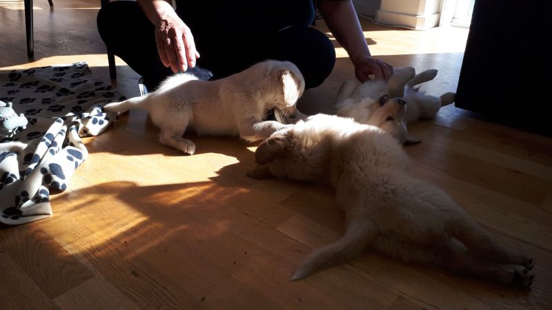 Emily og nogle af hendes søskende på 1. besøg i Pupik