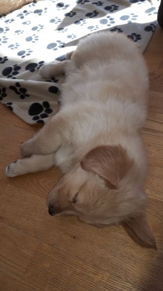 Emily og nogle af hendes søskende på 1. besøg i Pupik