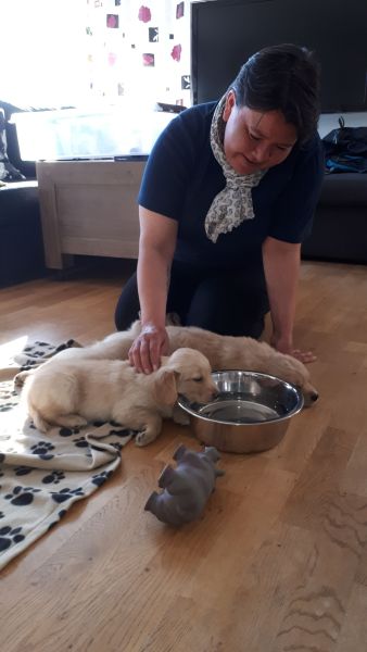 Emily og nogle af hendes søskende på 1. besøg i Pupik