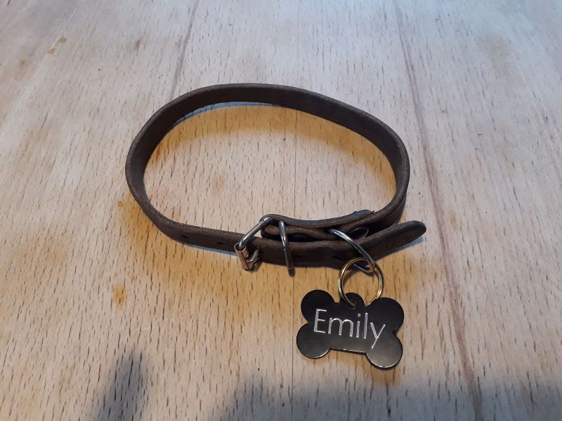 Kaju's gamle halsbånd til Emily