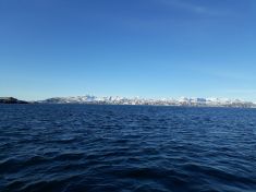 Store bededagsferie i Tasiussarsuaq sammen med Rex, Alu og Dorthe. Super dejligt vejr og god mad.